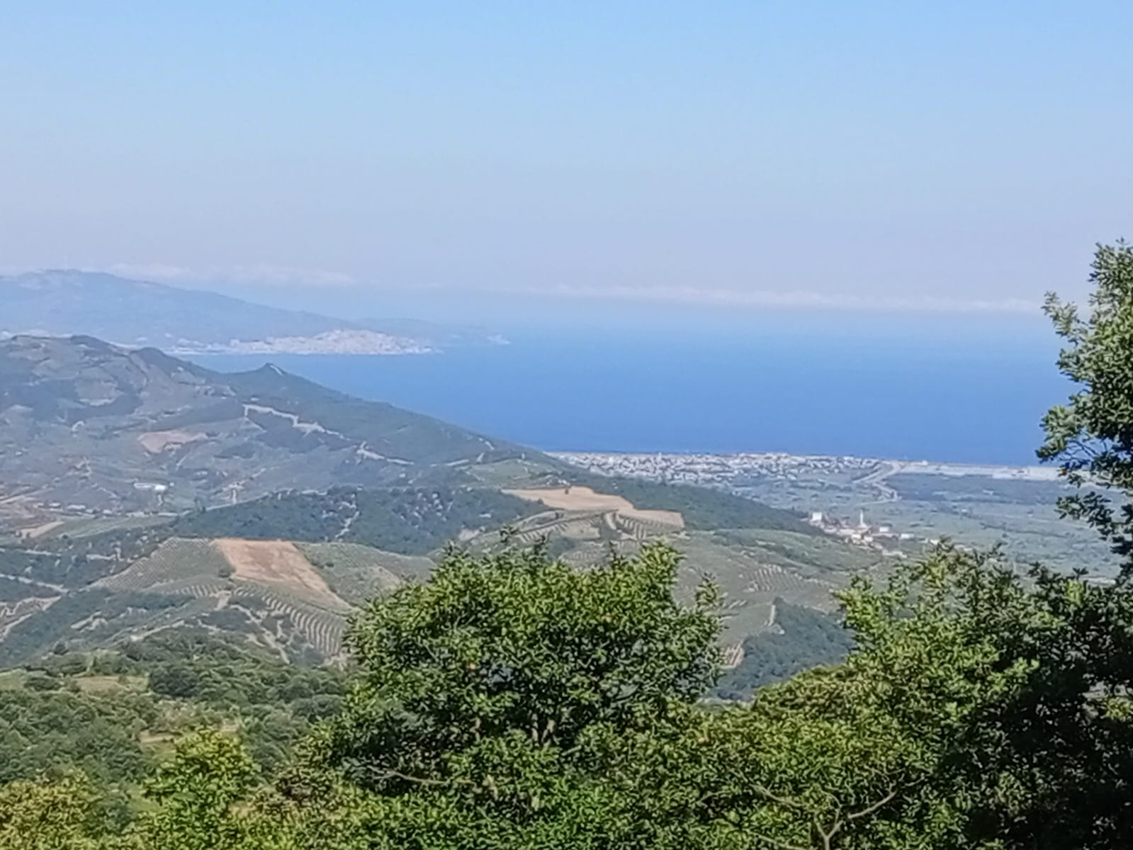 Gemlik Satılık Arsa 3.114 m² — fotoğraf 2
