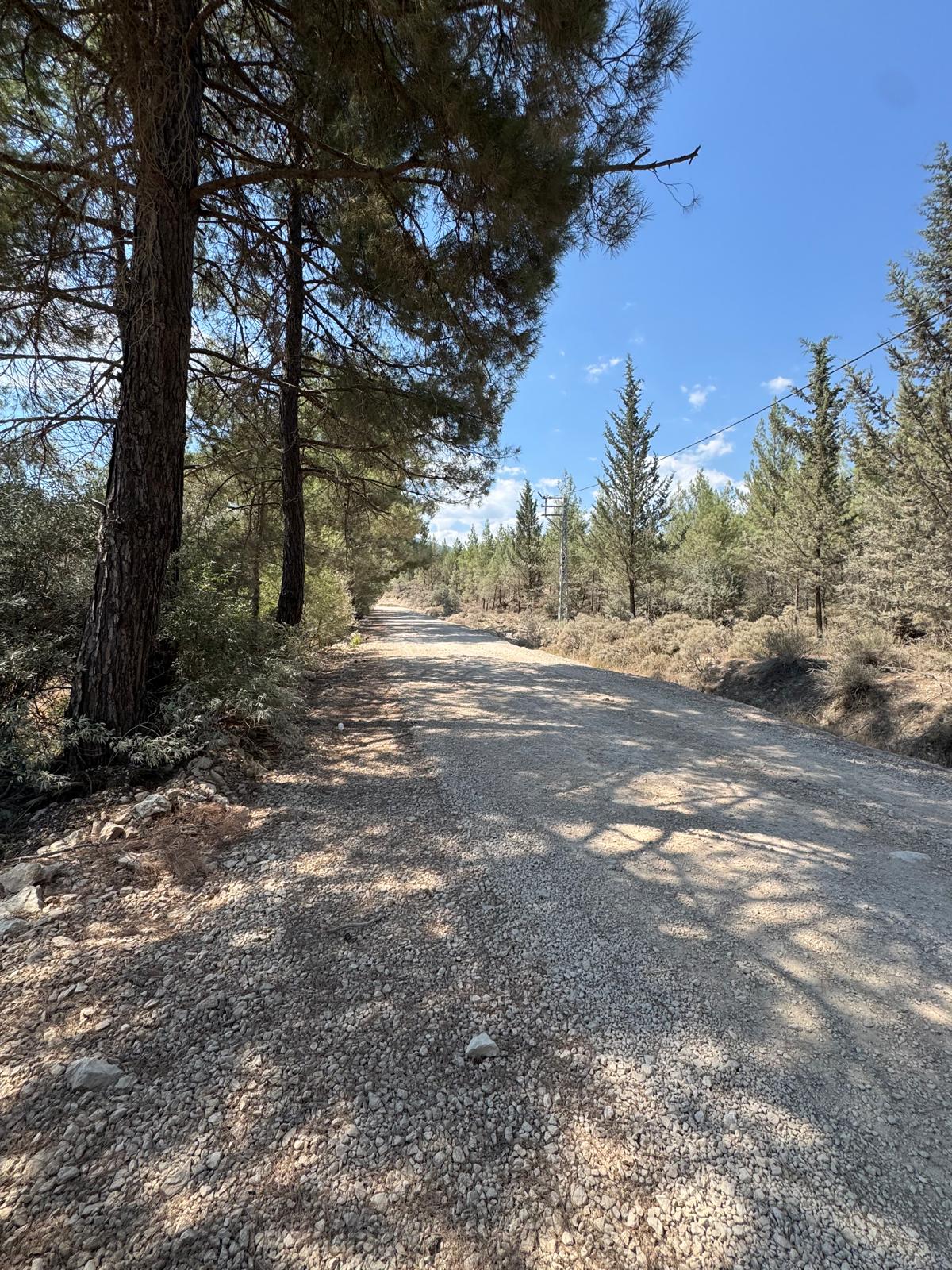 Kaş Satılık Tarla 23.421 m² — fotoğraf 6