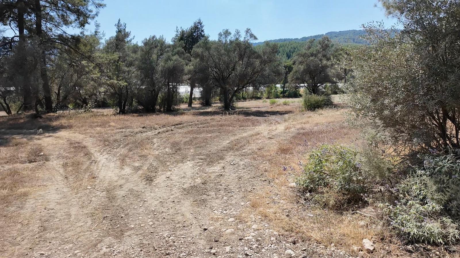 Kaş Satılık Tarla 23.421 m² — fotoğraf 9
