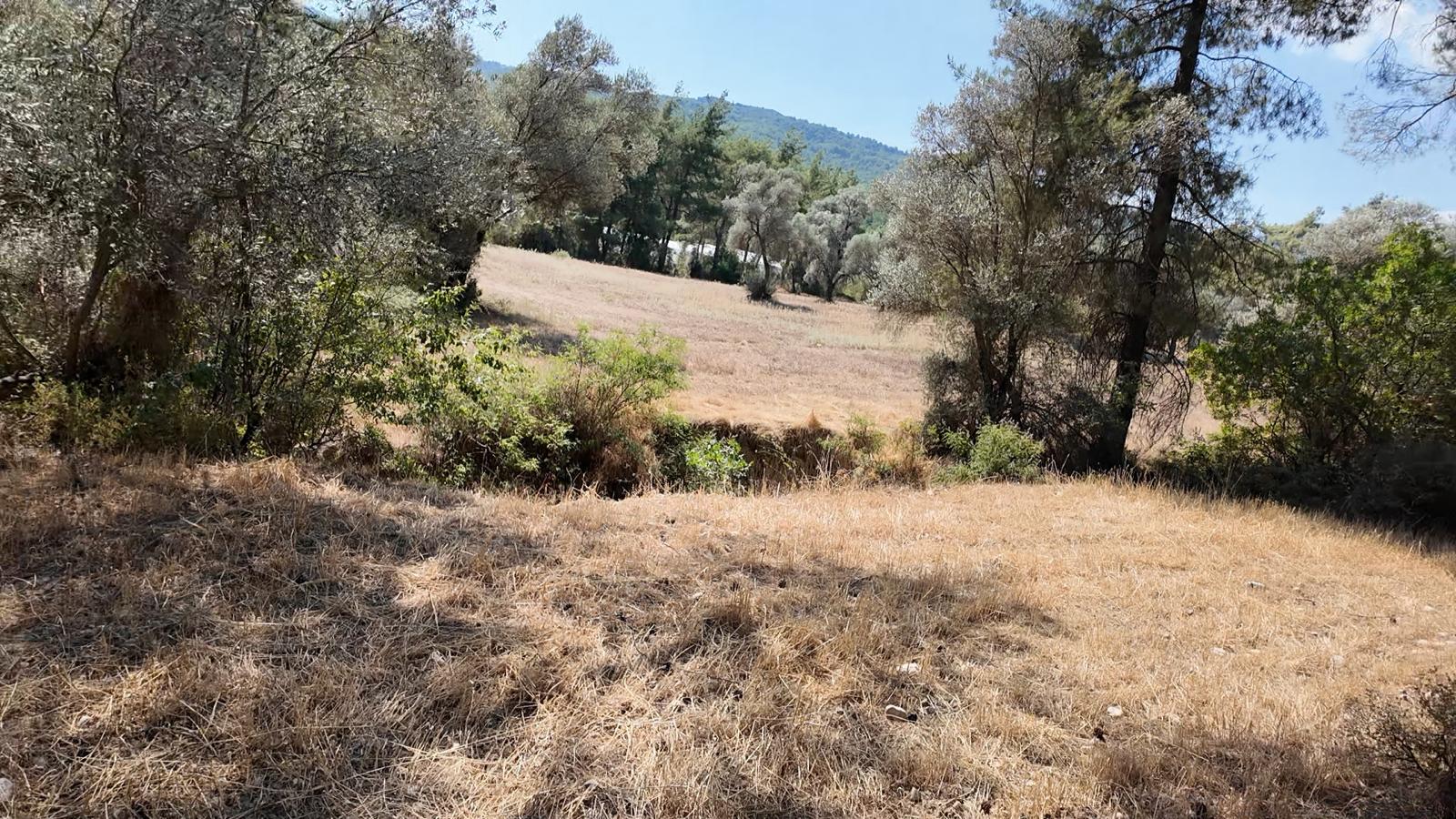 Kaş Satılık Tarla 23.421 m² — fotoğraf 10