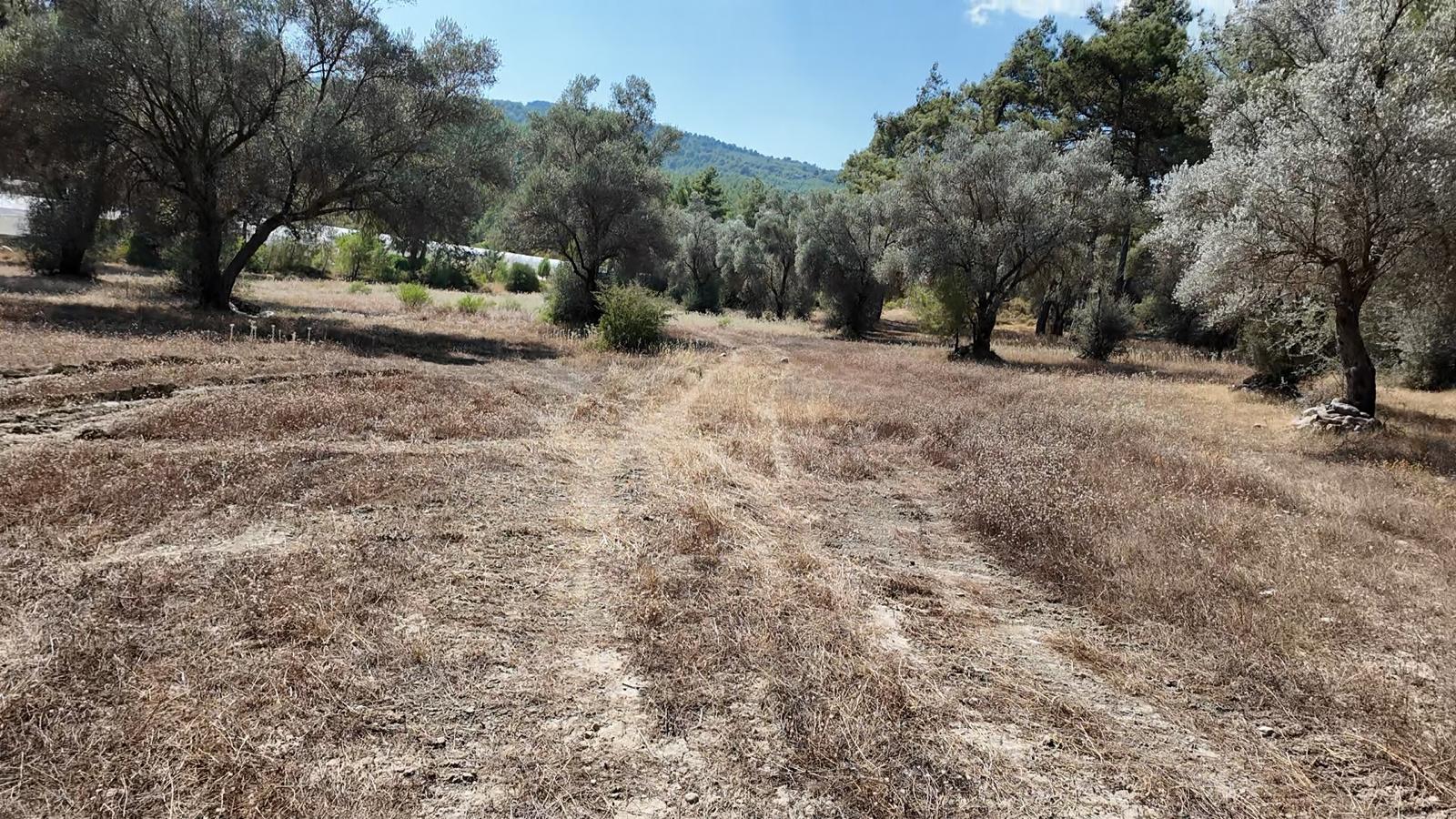 Kaş Satılık Tarla 23.421 m² — fotoğraf 11
