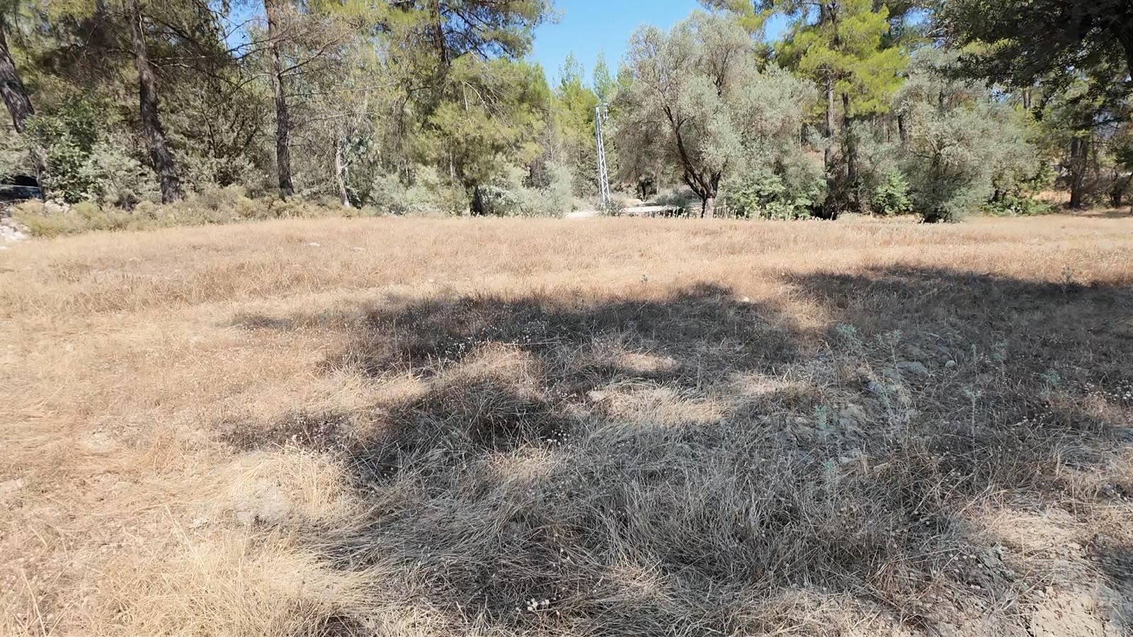 Kaş Satılık Tarla 23.421 m² — fotoğraf 12