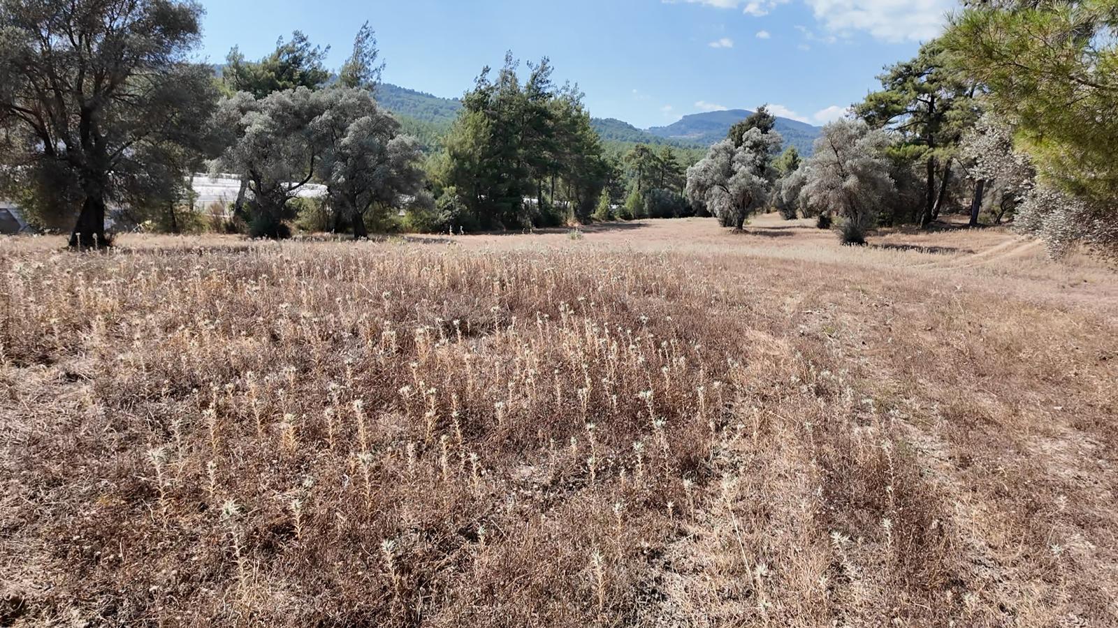 Kaş Satılık Tarla 23.421 m² — fotoğraf 19