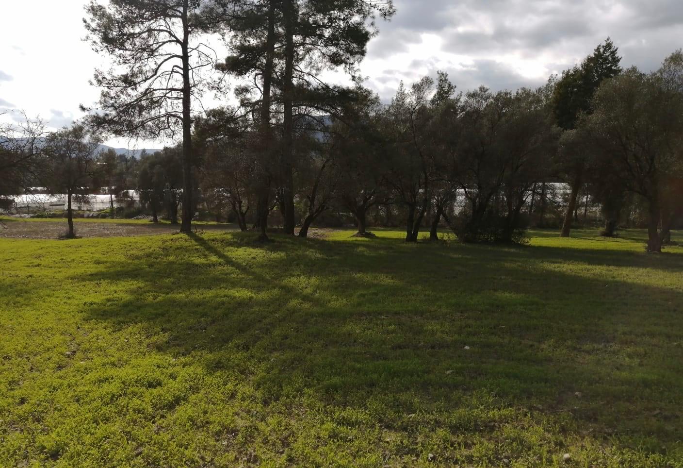 Kaş Satılık Tarla 23.421 m² — fotoğraf 4